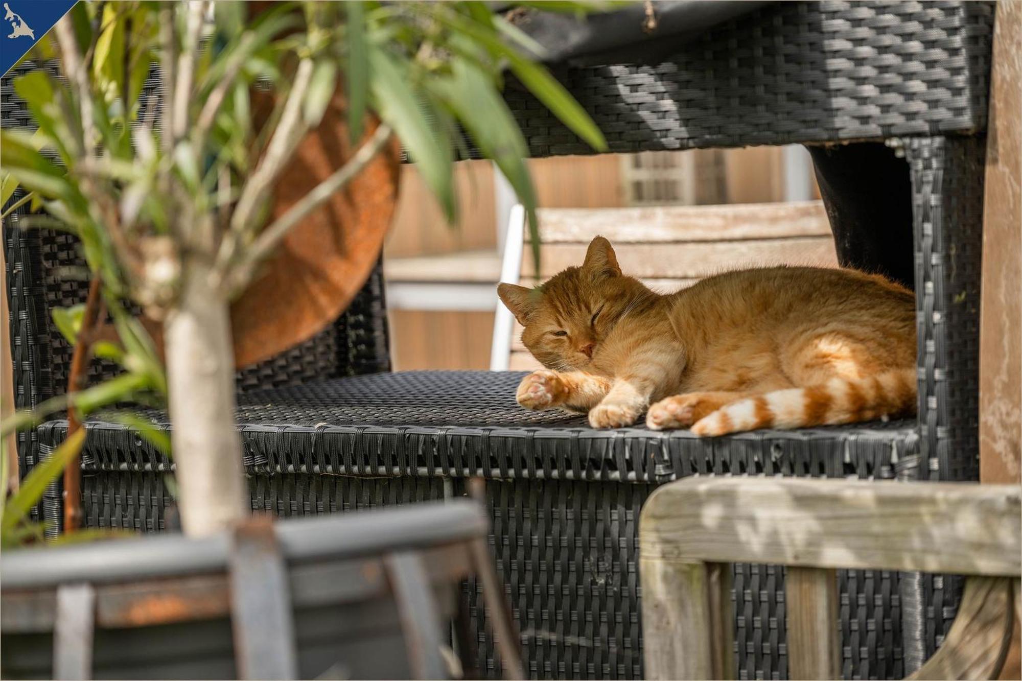 Ferienresort Moewenort Luetow Bungalow 1 Lutow 외부 사진