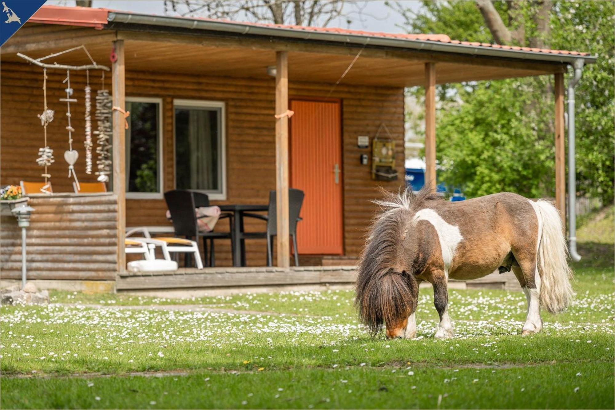 Ferienresort Moewenort Luetow Bungalow 1 Lutow 외부 사진